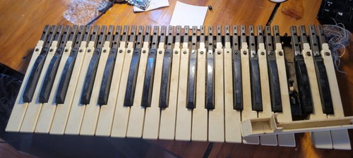 Mini moog replacement - replacement, keys